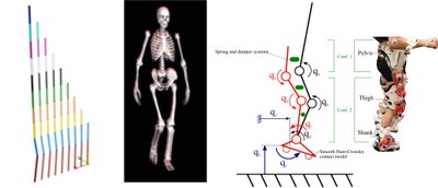 Investigadors de Stanford University, KU Leuven i la UPC integren eines de diferenciació automàtica a software de biomecànica per obtenir simulacions del moviment fins a 20 vegades més ràpides