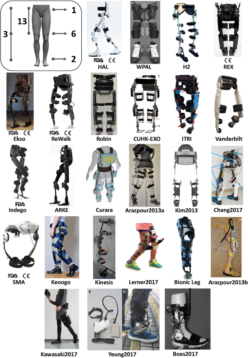 New published paper: "Systematic review on wearable lower‑limb exoskeletons for gait training in neuromuscular impairments"