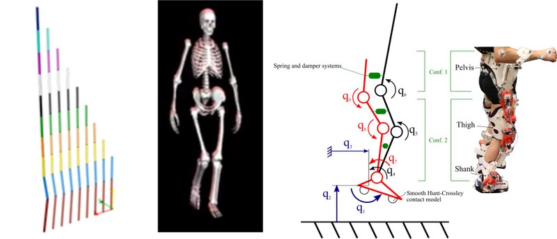 Researchers from Stanford University, KU Leuven and UPC integrated automatic differentiation tools into biomechanics software to obtain movement simulations up to 20 times faster